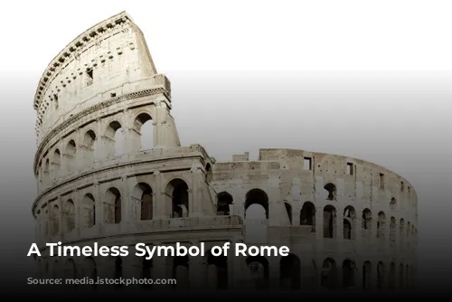 A Timeless Symbol of Rome