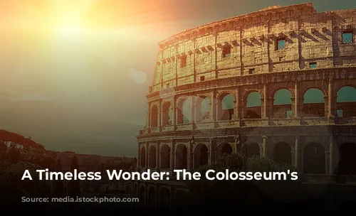 A Timeless Wonder: The Colosseum's History