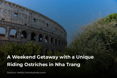 A Weekend Getaway with a Unique Twist: Riding Ostriches in Nha Trang