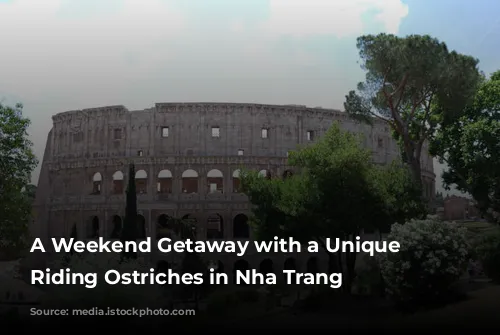 A Weekend Getaway with a Unique Twist: Riding Ostriches in Nha Trang