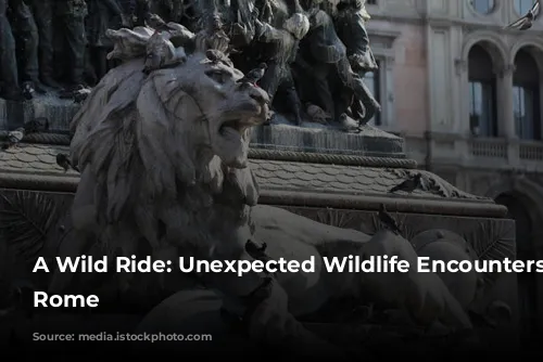 A Wild Ride: Unexpected Wildlife Encounters in Rome