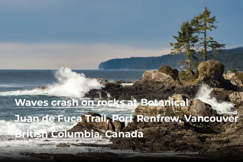 Waves crash on rocks at Botanical Beach, Juan de Fuca Trail, Port Renfrew, Vancouver Island, British Columbia, Canada