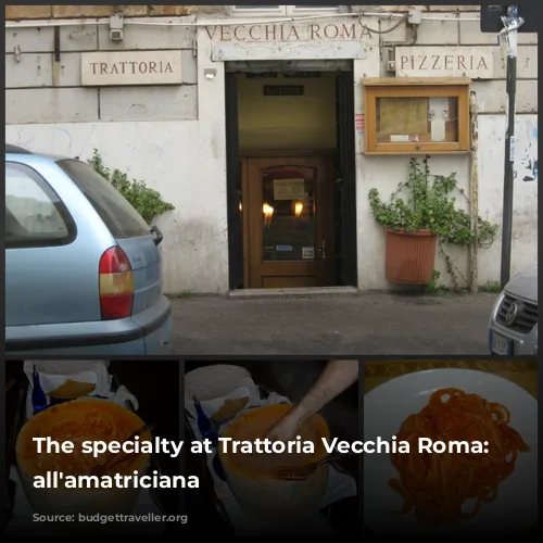 The specialty at Trattoria Vecchia Roma: Bucatini all'amatriciana