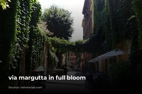 via margutta in full bloom