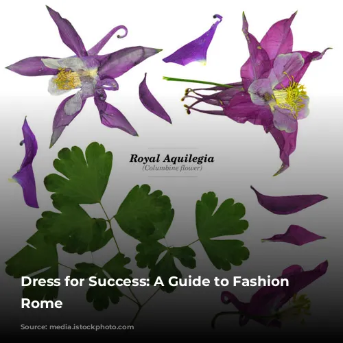 Dress for Success: A Guide to Fashion in Rome