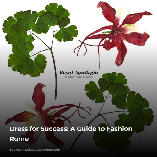 Dress for Success: A Guide to Fashion in Rome