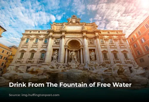 Drink From The Fountain of Free Water