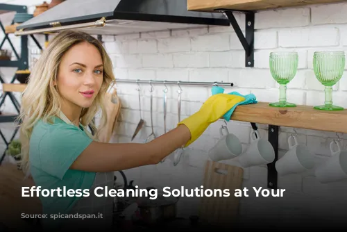 Effortless Cleaning Solutions at Your Fingertips