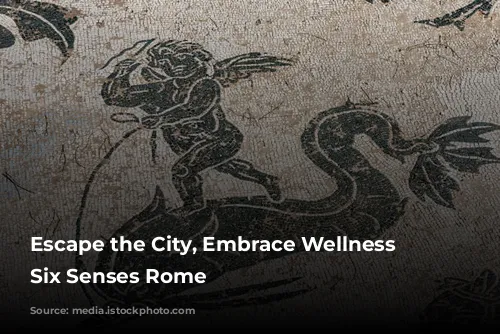 Escape the City, Embrace Wellness at Six Senses Rome