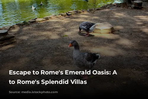 Escape to Rome's Emerald Oasis:  A Guide to Rome's Splendid Villas