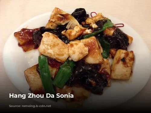 Hang Zhou Da Sonia