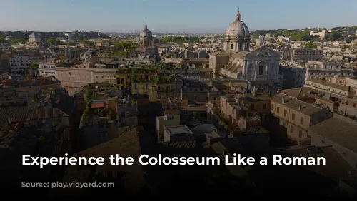 Experience the Colosseum Like a Roman Emperor