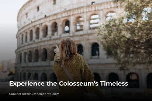 Experience the Colosseum's Timeless Tales