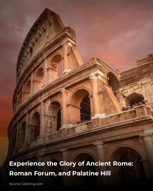 Experience the Glory of Ancient Rome: Colosseum, Roman Forum, and Palatine Hill