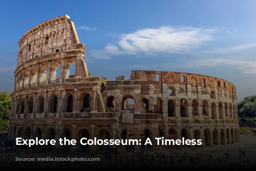 Explore the Colosseum: A Timeless Marvel