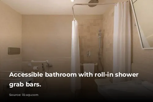 Accessible bathroom with roll-in shower and grab bars.