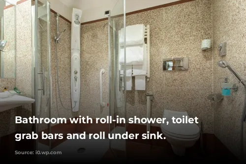 Bathroom with roll-in shower, toilet with grab bars and roll under sink.