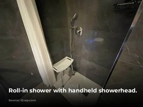 Roll-in shower with handheld showerhead.