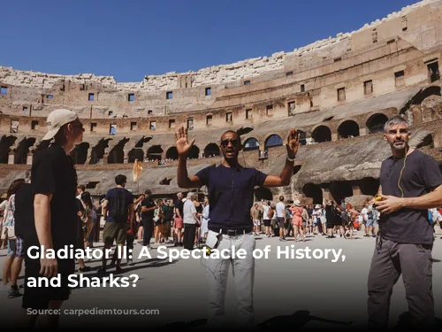 Gladiator II: A Spectacle of History, Fantasy, and Sharks?