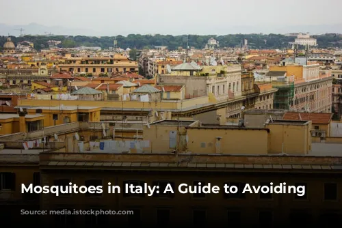 Mosquitoes in Italy: A Guide to Avoiding Bites