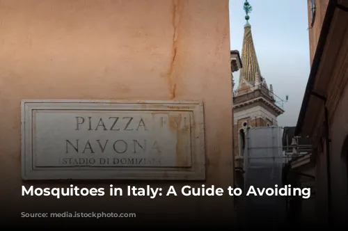 Mosquitoes in Italy: A Guide to Avoiding Bites