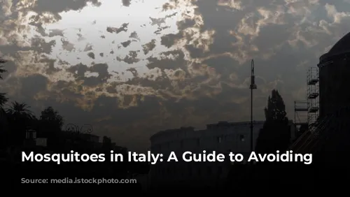 Mosquitoes in Italy: A Guide to Avoiding Bites