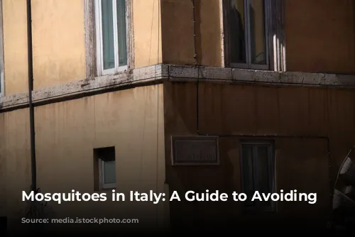 Mosquitoes in Italy: A Guide to Avoiding Bites