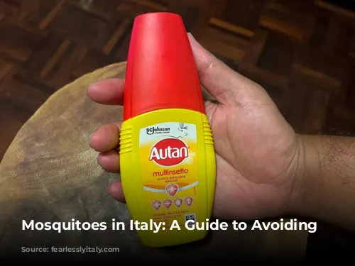 Mosquitoes in Italy: A Guide to Avoiding Bites