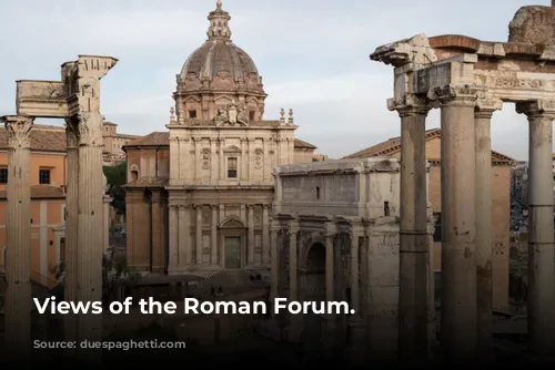 Views of the Roman Forum.