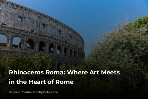 Rhinoceros Roma: Where Art Meets History in the Heart of Rome