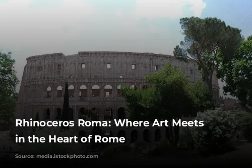 Rhinoceros Roma: Where Art Meets History in the Heart of Rome