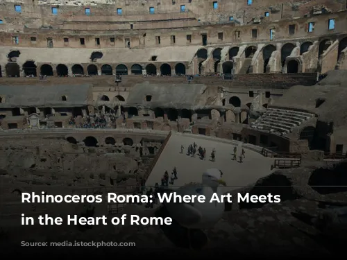 Rhinoceros Roma: Where Art Meets History in the Heart of Rome