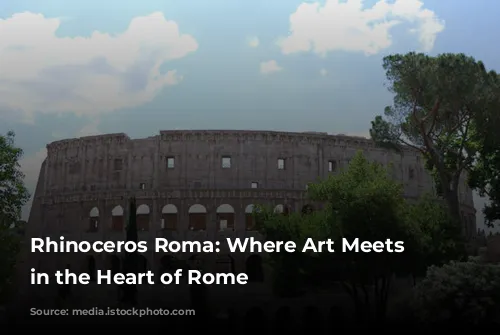 Rhinoceros Roma: Where Art Meets History in the Heart of Rome