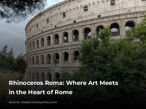 Rhinoceros Roma: Where Art Meets History in the Heart of Rome