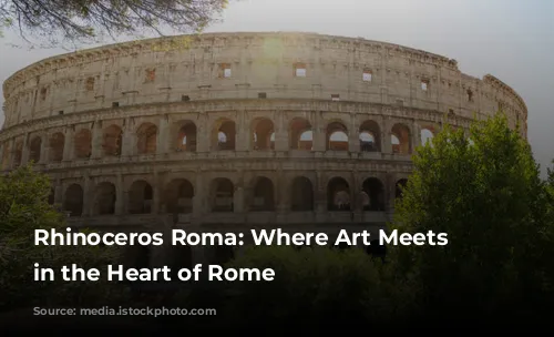 Rhinoceros Roma: Where Art Meets History in the Heart of Rome