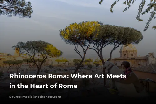 Rhinoceros Roma: Where Art Meets History in the Heart of Rome