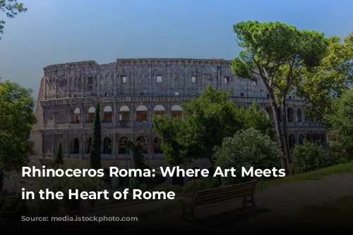 Rhinoceros Roma: Where Art Meets History in the Heart of Rome