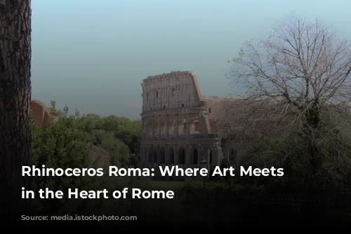 Rhinoceros Roma: Where Art Meets History in the Heart of Rome