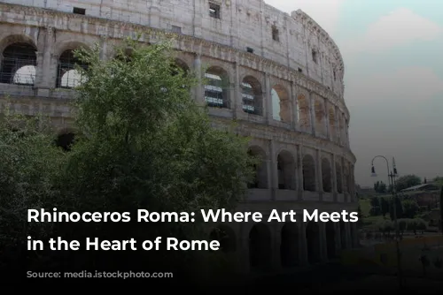 Rhinoceros Roma: Where Art Meets History in the Heart of Rome