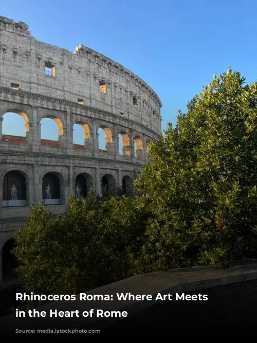 Rhinoceros Roma: Where Art Meets History in the Heart of Rome