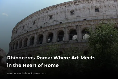 Rhinoceros Roma: Where Art Meets History in the Heart of Rome