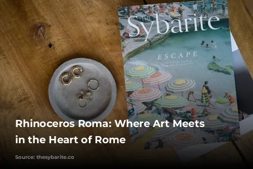 Rhinoceros Roma: Where Art Meets History in the Heart of Rome