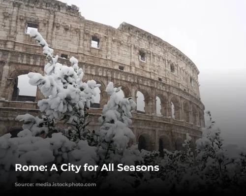 Rome: A City for All Seasons