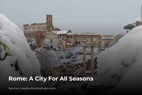 Rome: A City For All Seasons