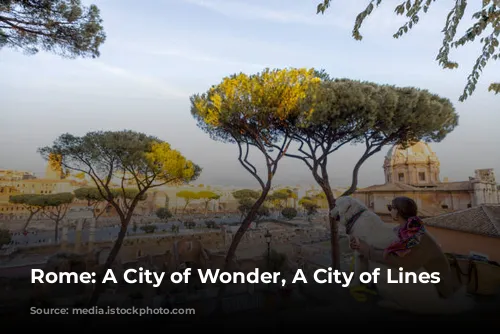 Rome: A City of Wonder, A City of Lines