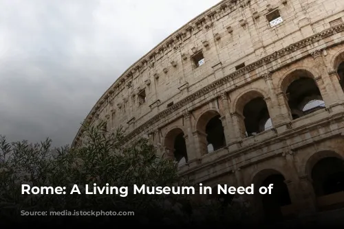 Rome: A Living Museum in Need of Preservation