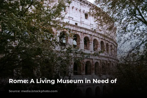 Rome: A Living Museum in Need of Preservation