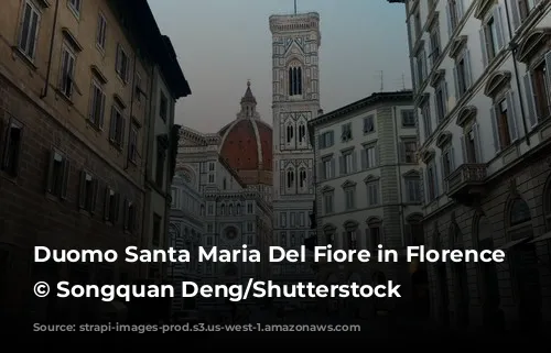 Duomo Santa Maria Del Fiore in Florence Italy © Songquan Deng/Shutterstock