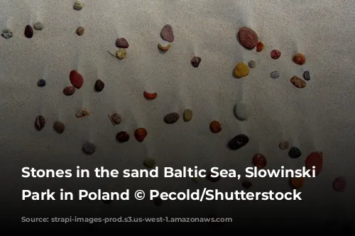 Stones in the sand Baltic Sea, Slowinski National Park in Poland © Pecold/Shutterstock