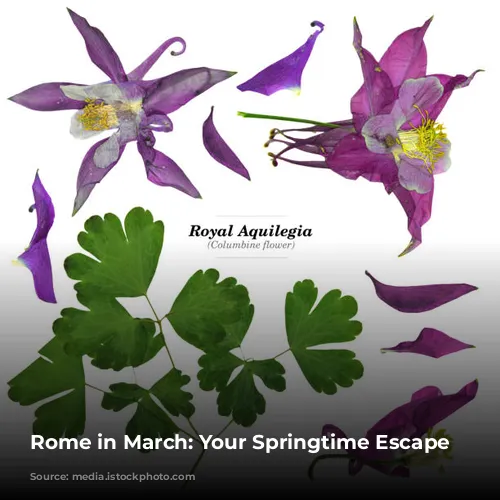 Rome in March: Your Springtime Escape Awaits!